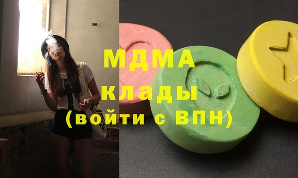 хмурый Бородино
