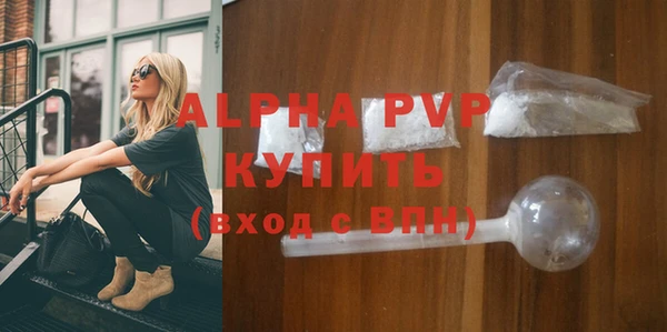 ПСИЛОЦИБИНОВЫЕ ГРИБЫ Верея