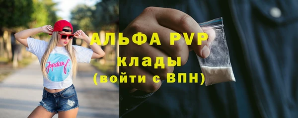 ПСИЛОЦИБИНОВЫЕ ГРИБЫ Верея