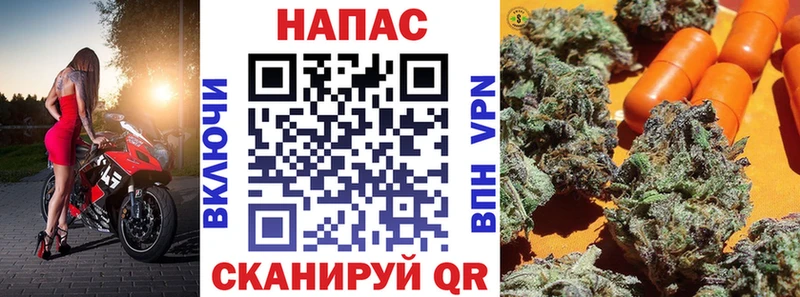 Купить  Жирновск  Бошки марихуана ГИДРОПОН 